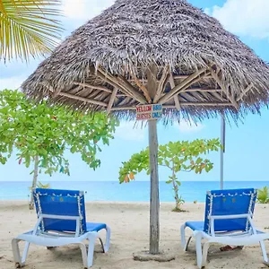 https://yellow-bird-sea.hotelsmontegobay.org